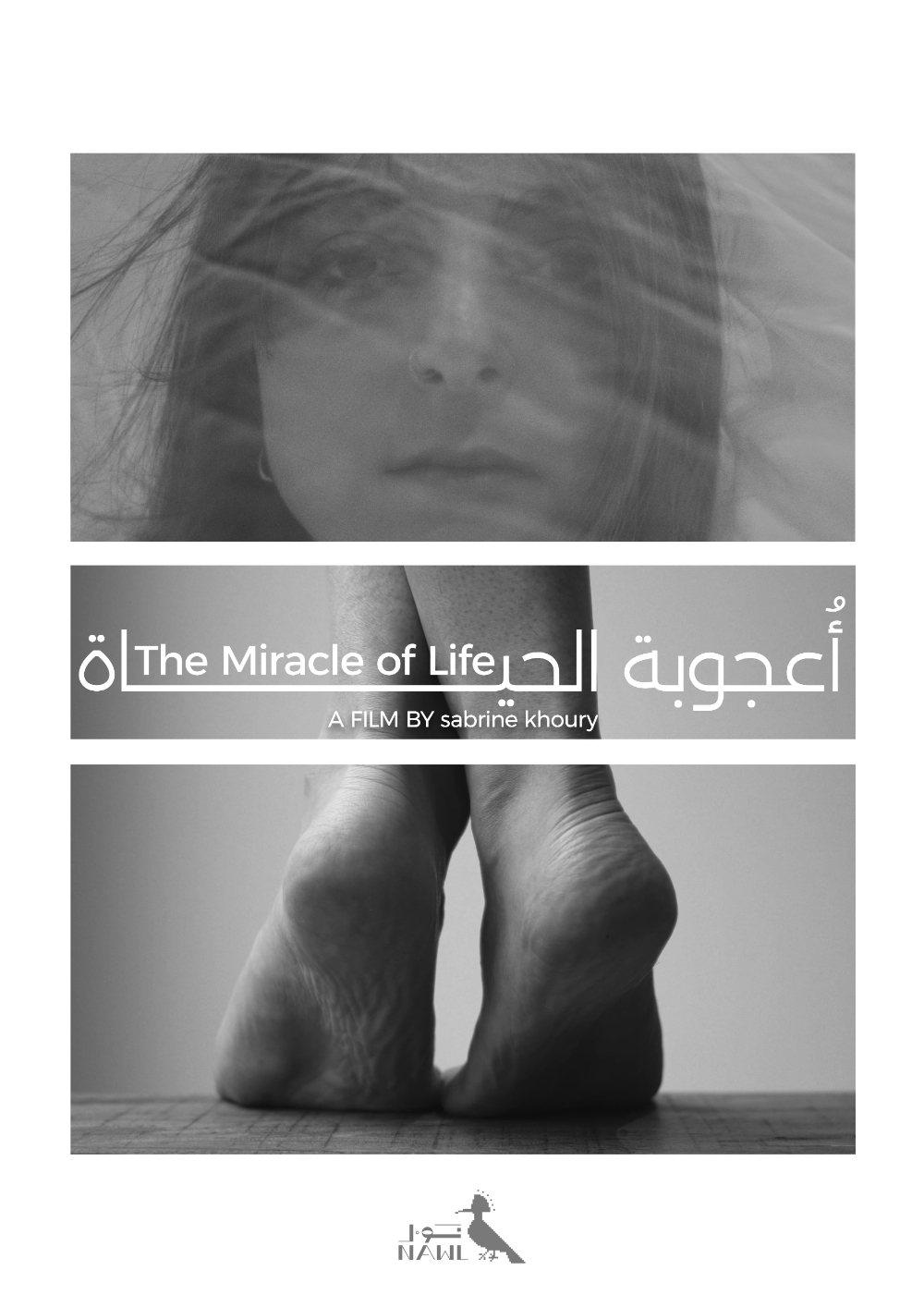 the miracle of life
